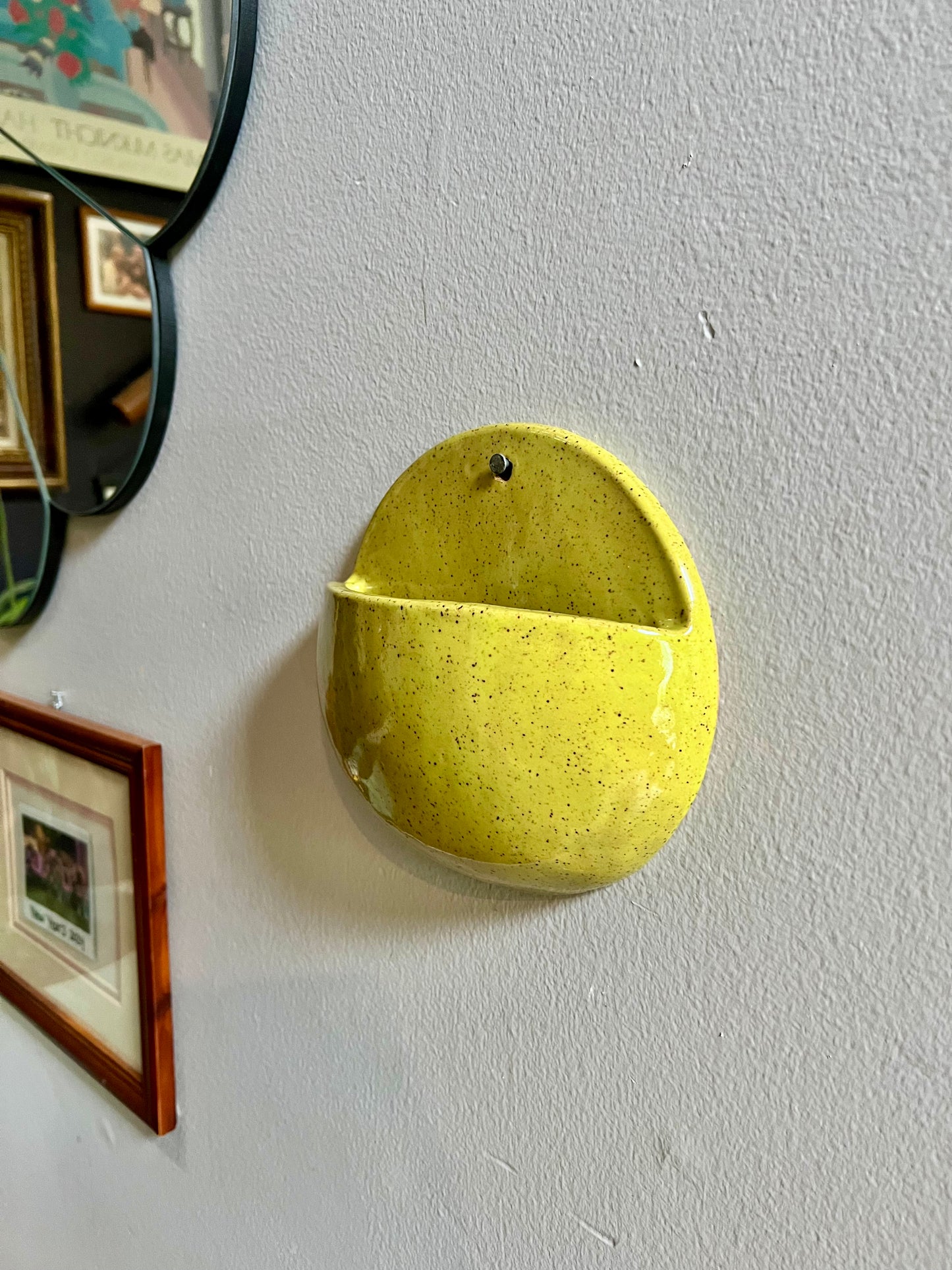 Wall Planter - Round